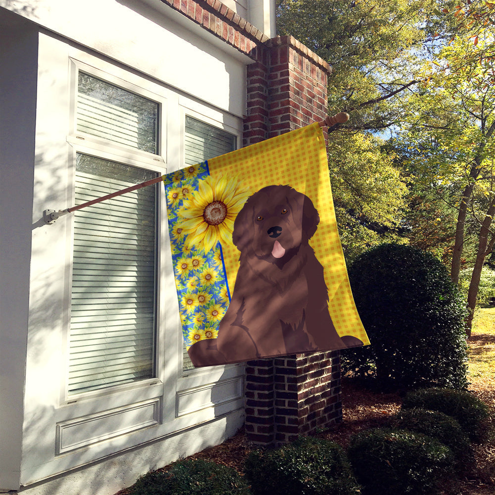 Summer Sunflowers Brown Newfoundland House Flag 28x40 Porch Sleeve Pole Decorative Outside Yard Banner Artwork Wall Hanging, Polyester
