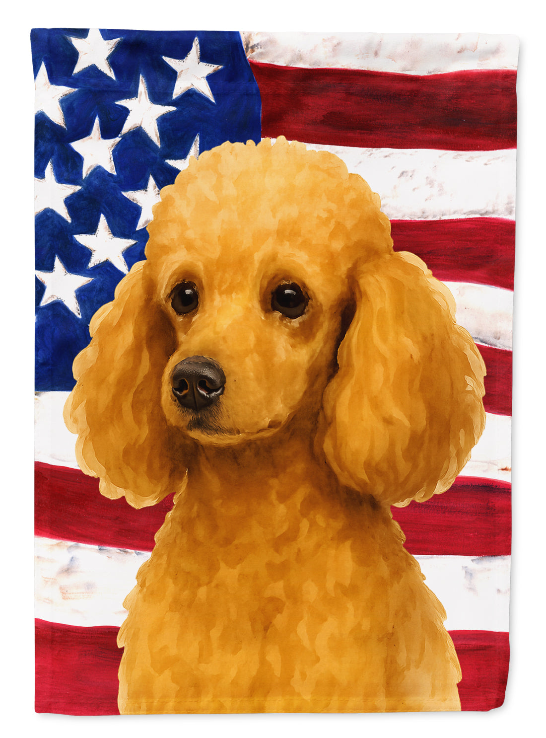 Apricot Miniature Poodle American Flag House Flag 28x40 Porch Sleeve Pole Decorative Outside Yard Banner Artwork Wall Hanging, Polyester