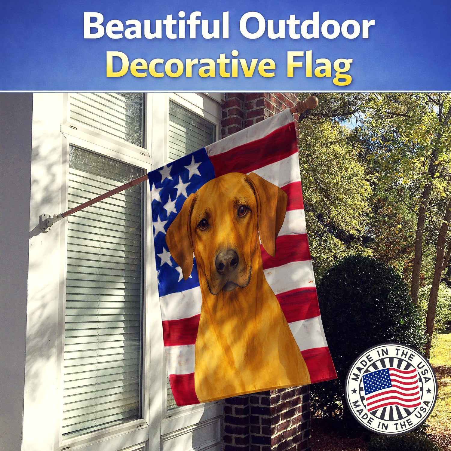 Rhodesian Ridgeback American Flag House Flag 28x40 Porch Sleeve Pole Decorative Outside Yard Banner Artwork Wall Hanging, Polyester