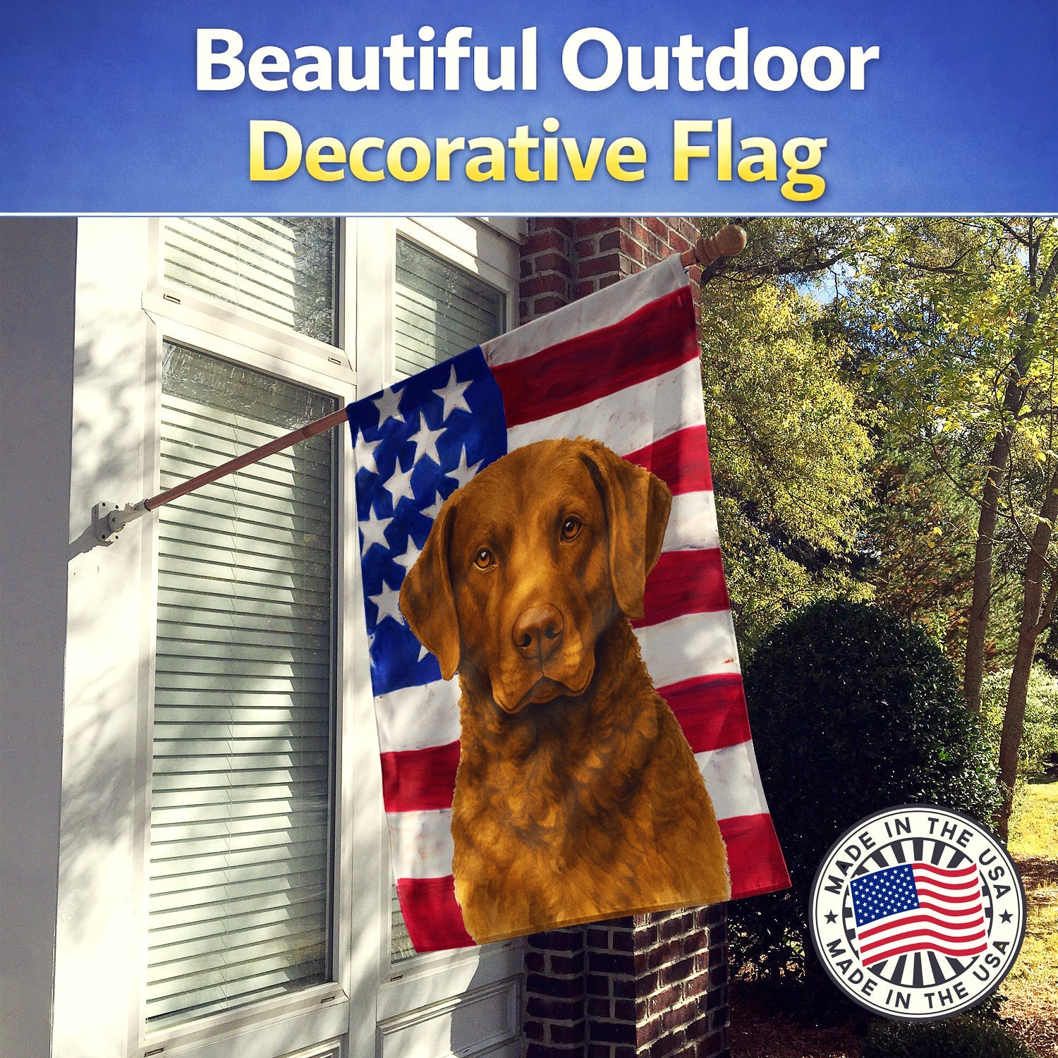 Brown Chesapeake Bay Retriever American Flag House Flag 28x40 Porch Sleeve Pole Decorative Outside Yard Banner Artwork Wall Hanging, Polyester
