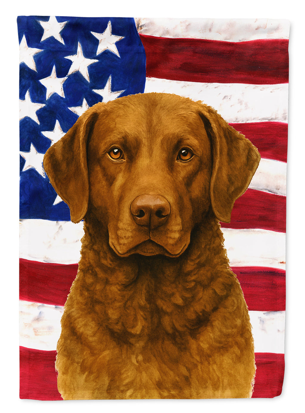 Brown Chesapeake Bay Retriever American Flag House Flag 28x40 Porch Sleeve Pole Decorative Outside Yard Banner Artwork Wall Hanging, Polyester
