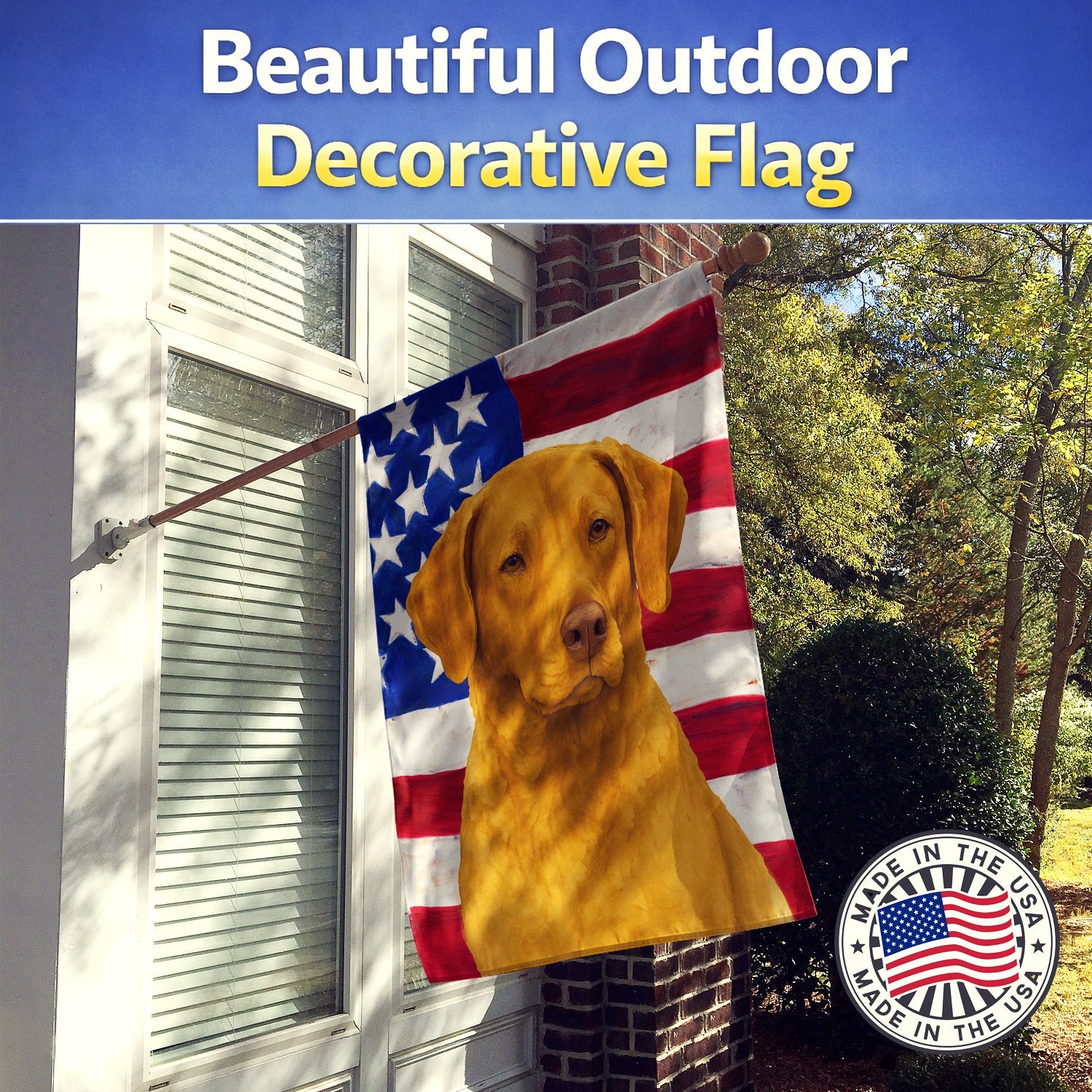 Deadgrass Chesapeake Bay Retriever American Flag House Flag 28x40 Porch Sleeve Pole Decorative Outside Yard Banner Artwork Wall Hanging, Polyester