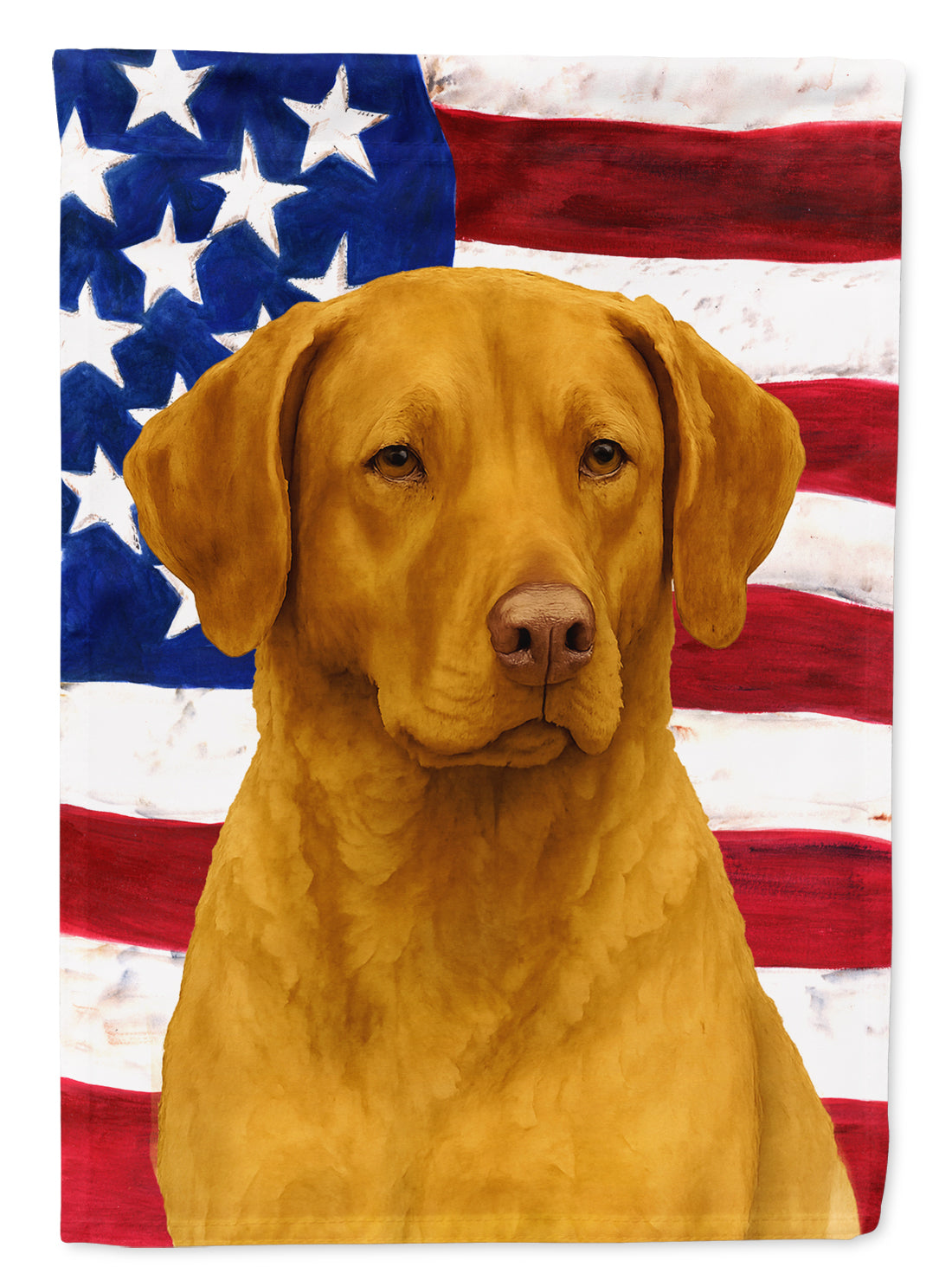 Deadgrass Chesapeake Bay Retriever American Flag House Flag 28x40 Porch Sleeve Pole Decorative Outside Yard Banner Artwork Wall Hanging, Polyester