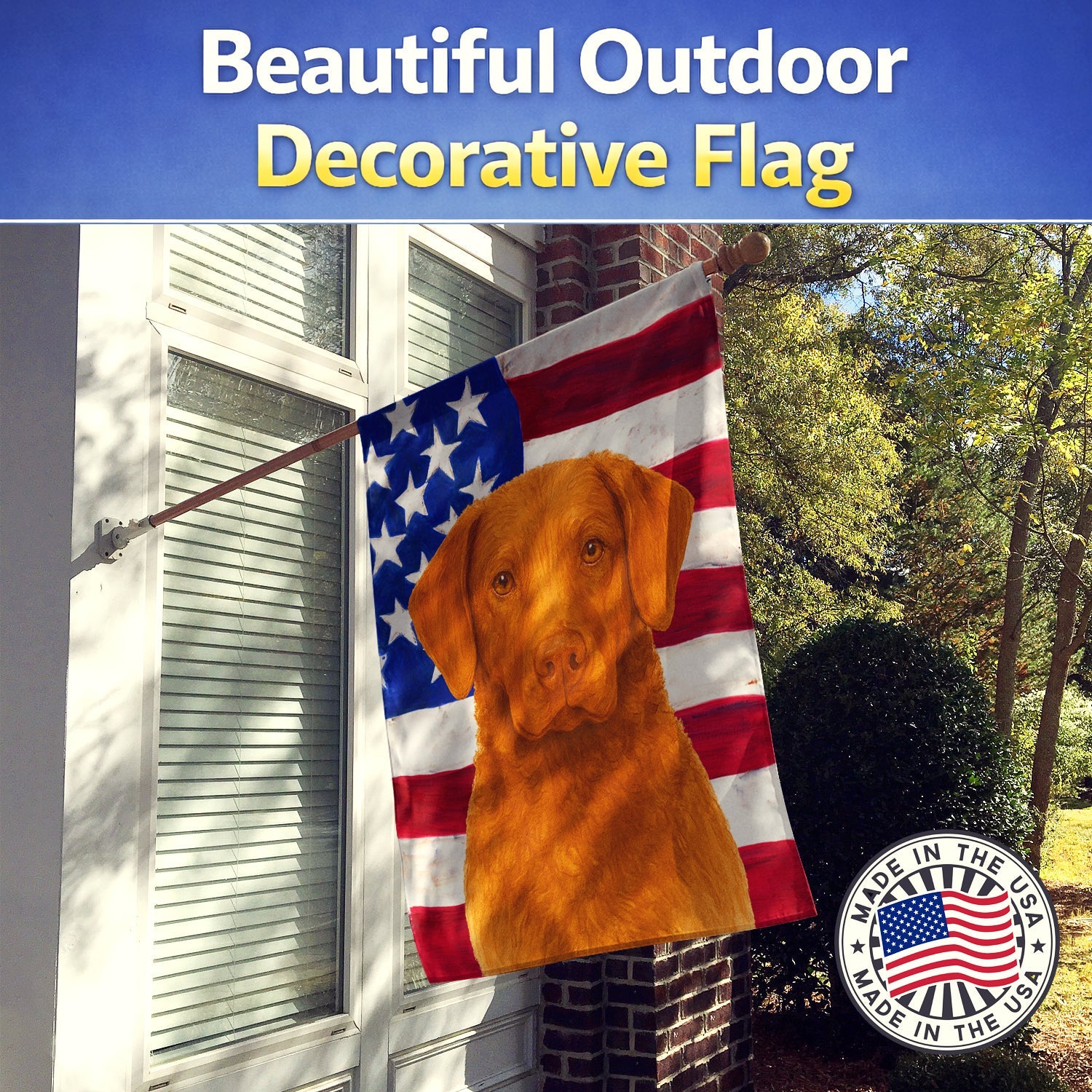 Sedge Chesapeake Bay Retriever American Flag House Flag 28x40 Porch Sleeve Pole Decorative Outside Yard Banner Artwork Wall Hanging, Polyester