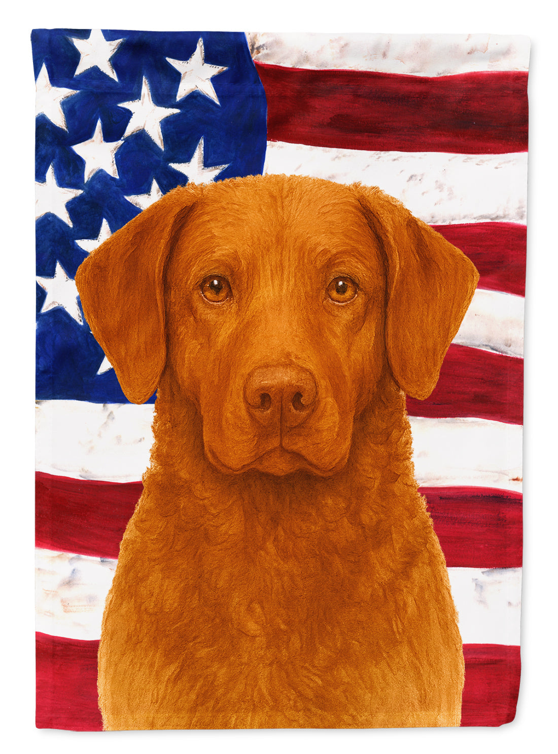 Sedge Chesapeake Bay Retriever American Flag House Flag 28x40 Porch Sleeve Pole Decorative Outside Yard Banner Artwork Wall Hanging, Polyester