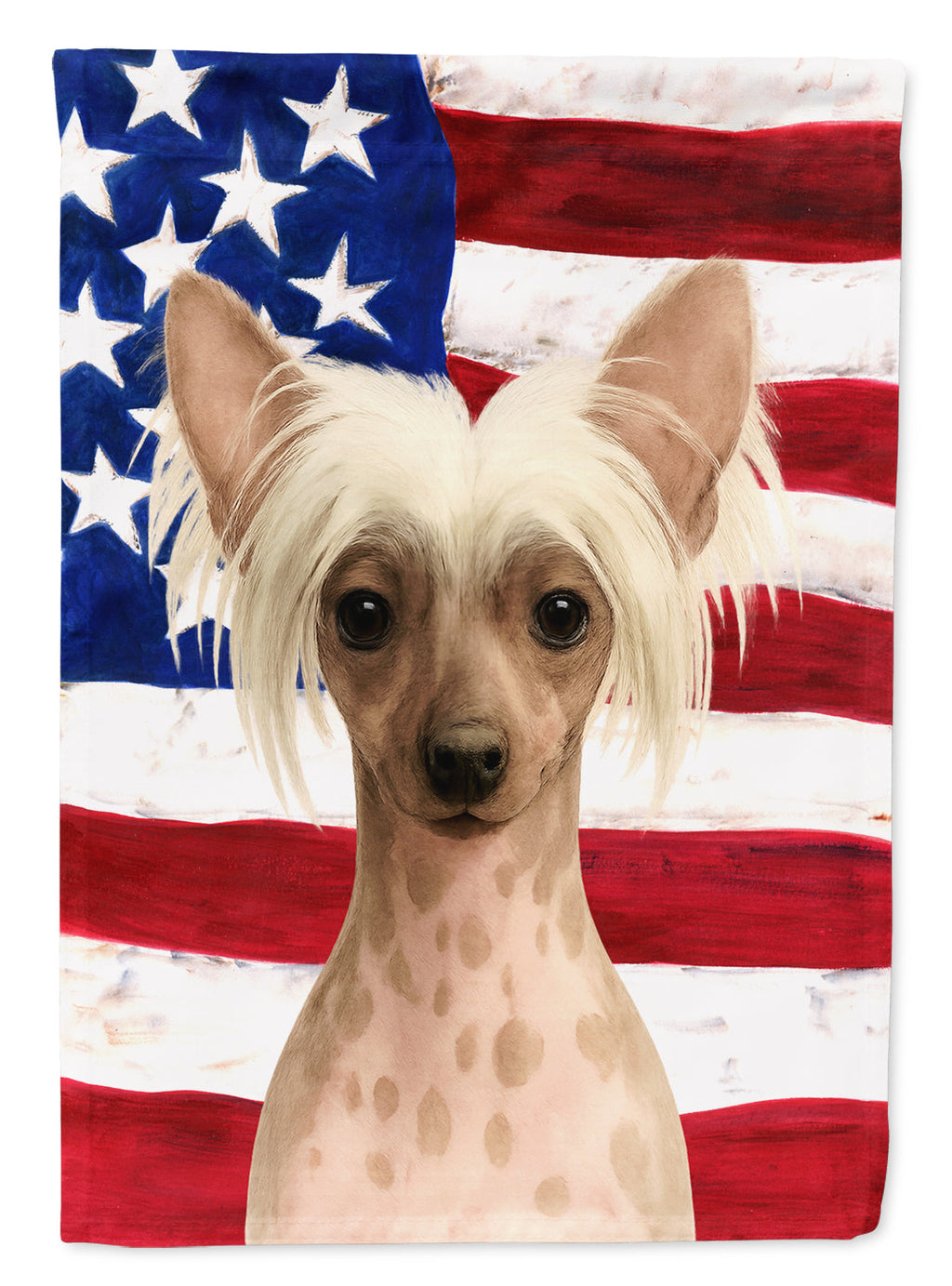 Hairless Pink and Chocolate Chinese Crested American Flag House Flag 28x40 Porch Sleeve Pole Decorative Outside Yard Banner Artwork Wall Hanging, Polyester