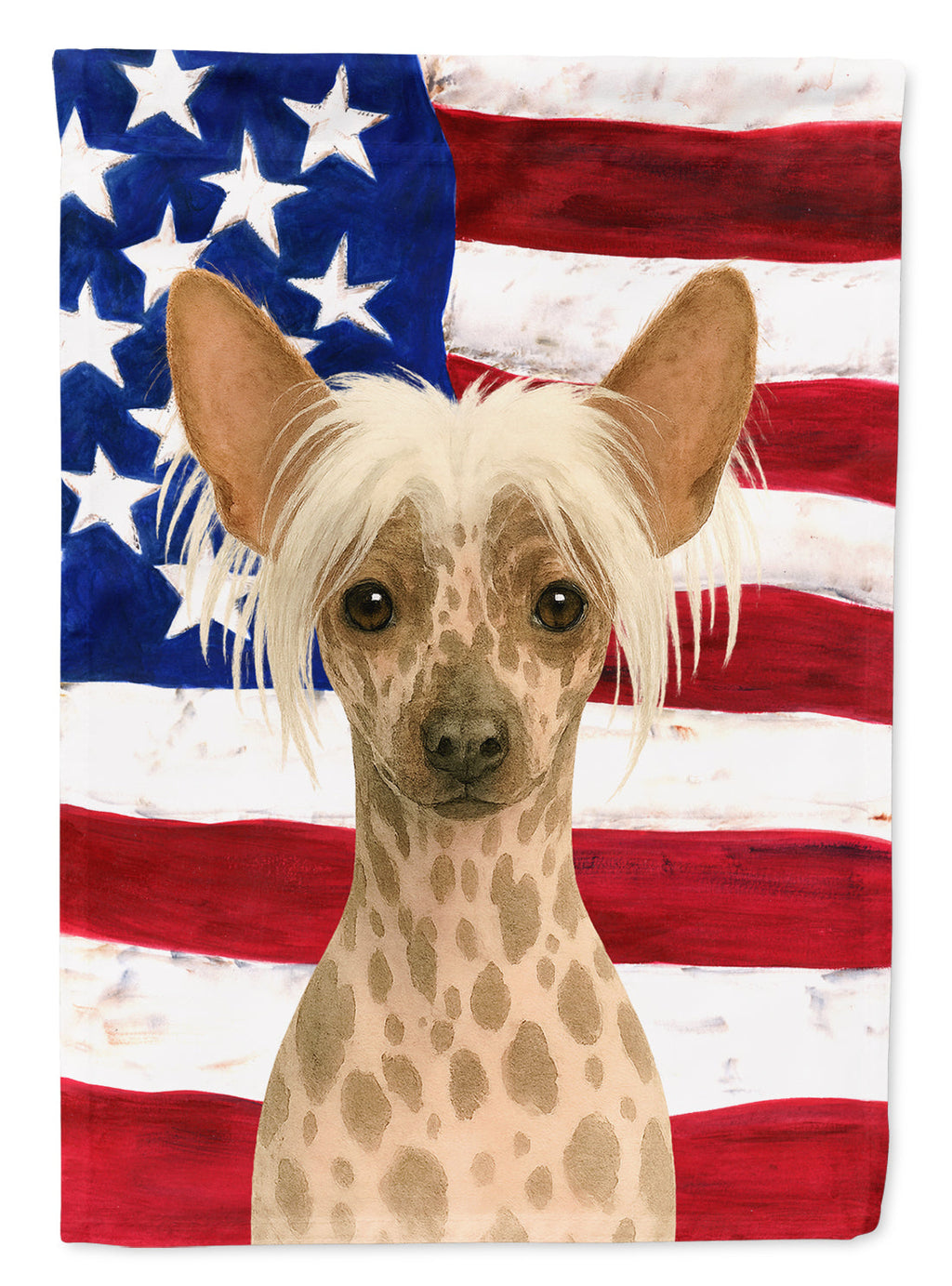 Hairless Mottled Pattern Chinese Crested American Flag House Flag 28x40 Porch Sleeve Pole Decorative Outside Yard Banner Artwork Wall Hanging, Polyester