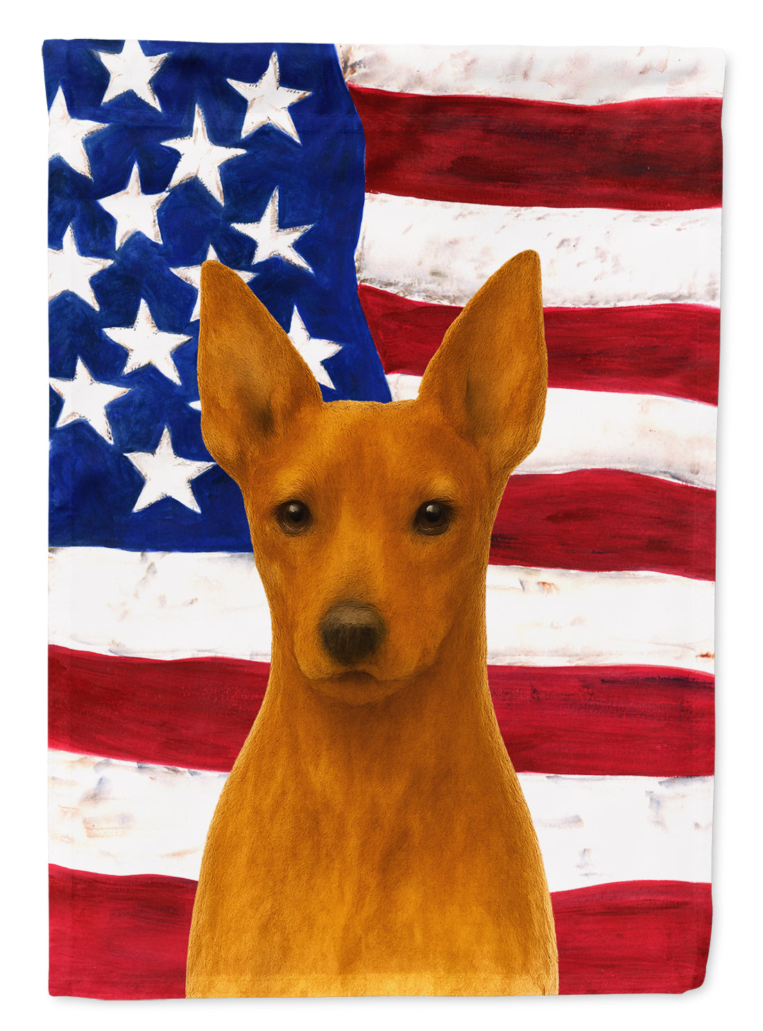 Red Miniature Pinscher American Flag House Flag 28x40 Porch Sleeve Pole Decorative Outside Yard Banner Artwork Wall Hanging, Polyester