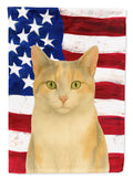 Dilute Calico Cat American House Flag 28x40 Porch Sleeve Pole Decorative Outside Yard Banner Artwork Wall Hanging, Polyester