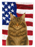 MainCoon Brown Tabby Cat American House Flag 28x40 Porch Sleeve Pole Decorative Outside Yard Banner Artwork Wall Hanging, Polyester