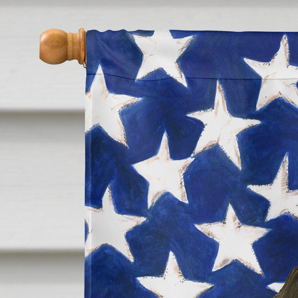 Overo Paint Horse American House Flag 28x40 Porch Sleeve Pole Decorative Outside Yard Banner Artwork Wall Hanging, Polyester