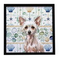 Hairless Chinese Crested Coastal Sea Glass Framed Metal Print Bathroom, Kitchen, Office, Home Decor Wall Art Ready to Hang, Square, 8X8