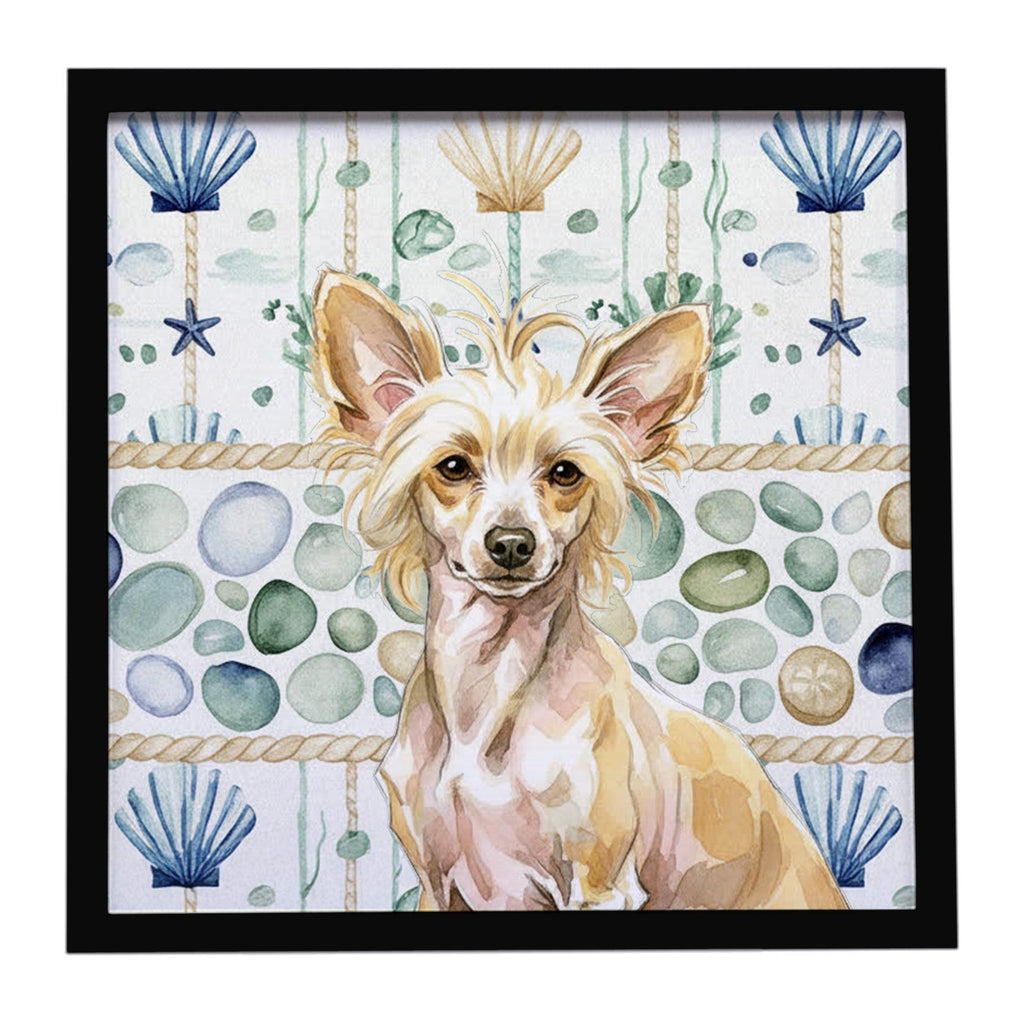 Hairless Palomino Chinese Crested Coastal Sea Glass Framed Metal Print Bathroom, Kitchen, Office, Home Decor Wall Art Ready to Hang, Square, 8X8