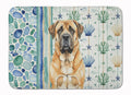 Apricot English Mastiff Coastal Sea Glass Memory Foam Kitchen Mat Machine Washable Anti-Fatigue Cushion Comfort Bath or Kitchen Rug