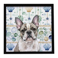 Pied French Bulldog Coastal Sea Glass Framed Metal Print Bathroom, Kitchen, Office, Home Decor Wall Art Ready to Hang, Square, 8X8