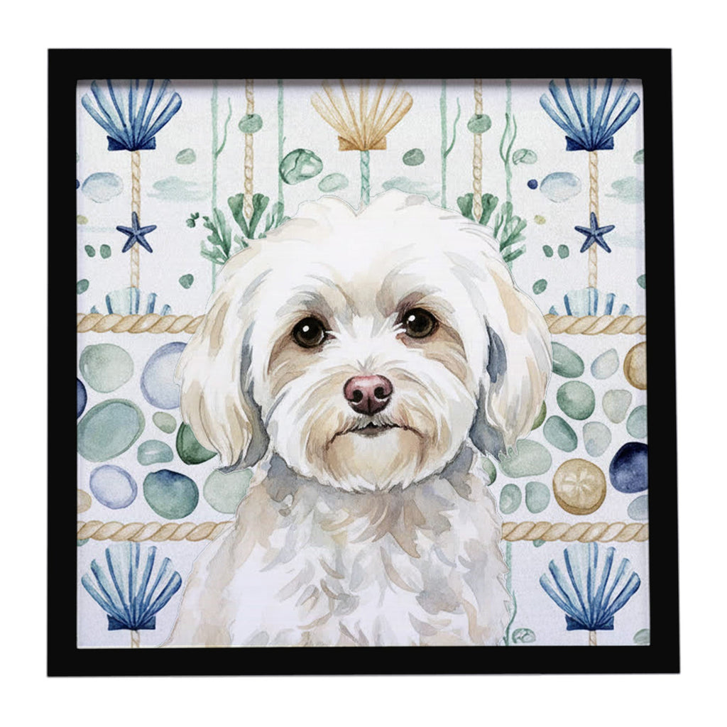 White Havanese Coastal Sea Glass Framed Metal Print Bathroom, Kitchen, Office, Home Decor Wall Art Ready to Hang, Square, 8X8
