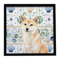 Cream Shiba Inu Coastal Sea Glass Framed Metal Print Bathroom, Kitchen, Office, Home Decor Wall Art Ready to Hang, Square, 8X8