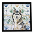 Agouti Siberian Husky Coastal Sea Glass Framed Metal Print Bathroom, Kitchen, Office, Home Decor Wall Art Ready to Hang, Square, 8X8