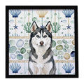 Siberian Husky Coastal Sea Glass Framed Metal Print Bathroom, Kitchen, Office, Home Decor Wall Art Ready to Hang, Square, 8X8