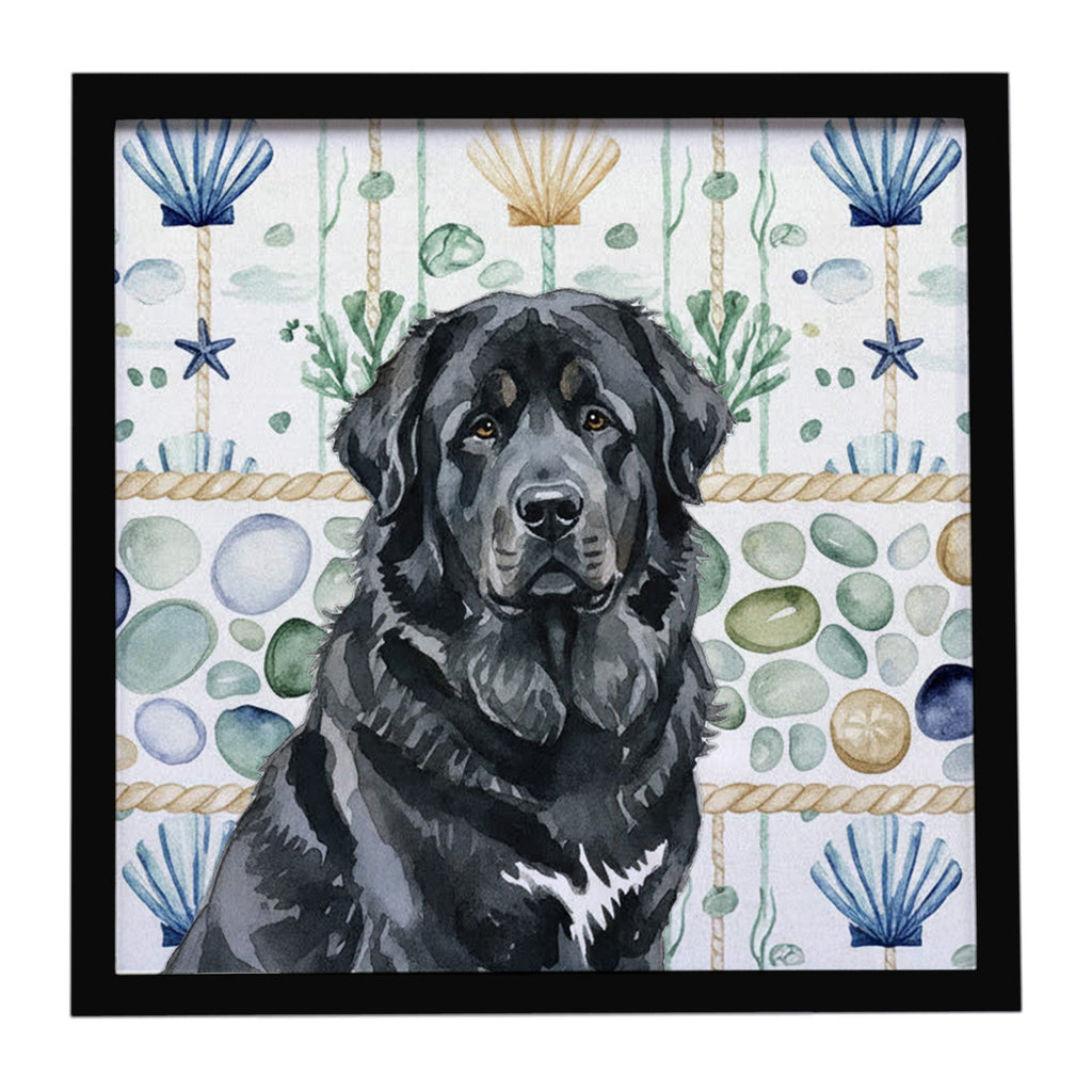 Black Tibetan Mastiff Coastal Sea Glass Framed Metal Print Bathroom, Kitchen, Office, Home Decor Wall Art Ready to Hang, Square, 8X8