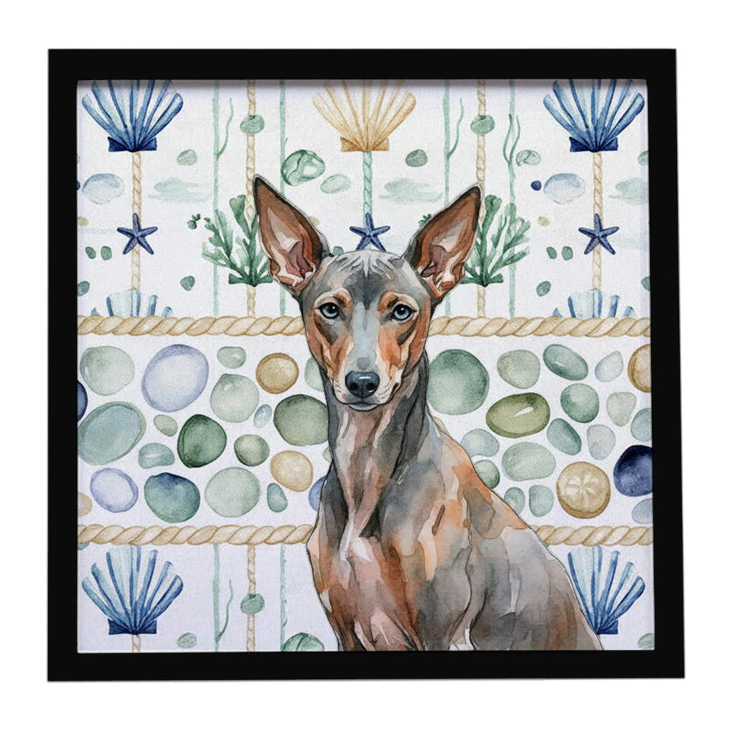 Xoloitzcuintli Coastal Sea Glass Framed Metal Print Bathroom, Kitchen, Office, Home Decor Wall Art Ready to Hang, Square, 8X8
