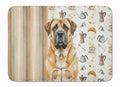 Apricot English Mastiff Coffee Bar Memory Foam Kitchen Mat Machine Washable Anti-Fatigue Cushion Comfort Bath or Kitchen Rug