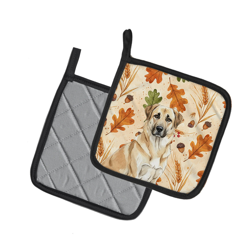 Anatolian Shepherd Dog Heirloom Fall Pot Holder Set of 2 Heat Resistant Quilted Hot Pads 7.5 x 7.5 Inch, Insulated Kitchen Trivets for Cooking & Baking