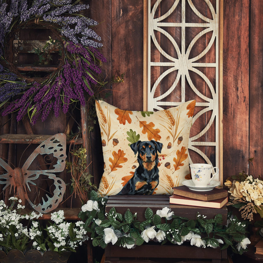 Beauceron Heirloom Fall Decorative Throw Pillow 18x18 Indoor Outdoor Accent Cushion, Fabric Cover with Insert for Sofa, Bed, Porch & Living Room