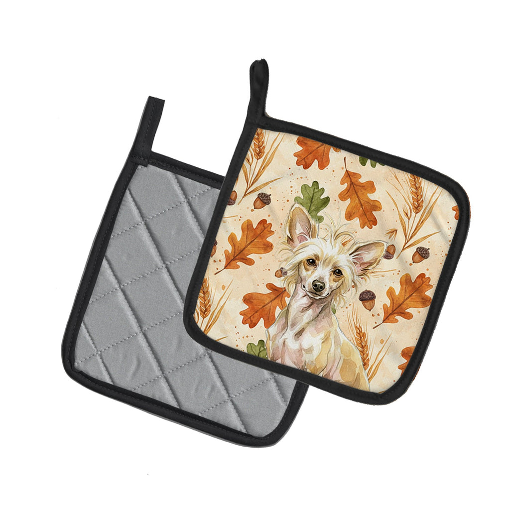 Hairless Palomino Chinese Crested Heirloom Fall Pot Holder Set of 2 Heat Resistant Quilted Hot Pads 7.5 x 7.5 Inch, Insulated Kitchen Trivets for Cooking & Baking