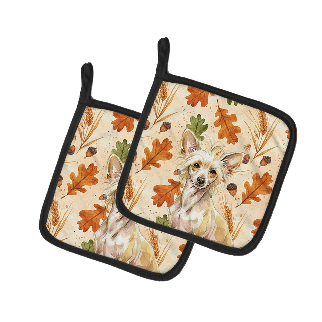 Hairless Palomino Chinese Crested Heirloom Fall Pot Holder Set of 2 Heat Resistant Quilted Hot Pads 7.5 x 7.5 Inch, Insulated Kitchen Trivets for Cooking & Baking