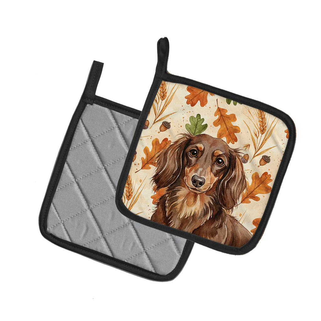 Longhaired Chocolate and Tan Dachshund Heirloom Fall Pot Holder Set of 2 Heat Resistant Quilted Hot Pads 7.5 x 7.5 Inch, Insulated Kitchen Trivets for Cooking & Baking