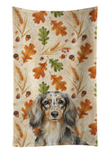 Longhaired Dapple Dachshund Heirloom Fall Kitchen Towel Velour Plush Front and Cotton Loop Back Machine Washable