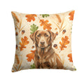 Chocolate Labrador Retriever Heirloom Fall Decorative Throw Pillow 14x14 Indoor Outdoor Accent Cushion, Fabric Cover with Insert for Sofa, Bed, Porch & Living Room