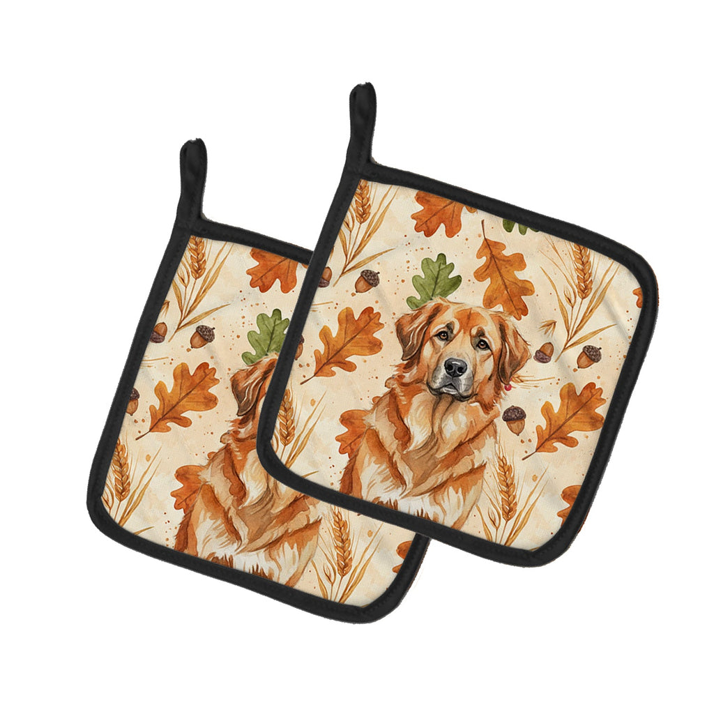 Red Leonberger Heirloom Fall Pot Holder Set of 2 Heat Resistant Quilted Hot Pads 7.5 x 7.5 Inch, Insulated Kitchen Trivets for Cooking & Baking