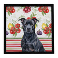 Black American Staffordshire Terrier Vegetables Framed Metal Print Bathroom, Kitchen, Office, Home Decor Wall Art Ready to Hang, Square, 8X8