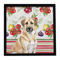 Anatolian Shepherd Dog Vegetables Framed Metal Print Bathroom, Kitchen, Office, Home Decor Wall Art Ready to Hang, Square, 8X8