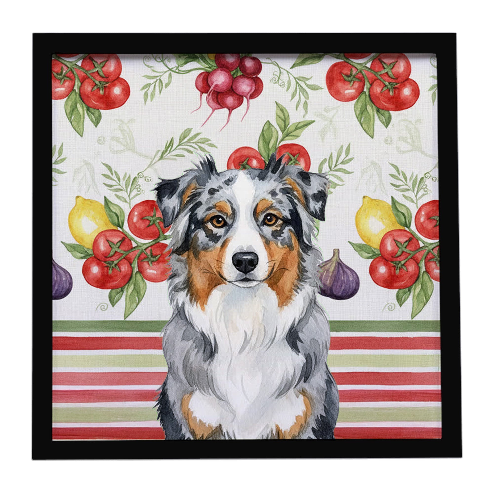 Blue Merle Australian Shepherd Vegetables Framed Metal Print Bathroom, Kitchen, Office, Home Decor Wall Art Ready to Hang, Square, 8X8