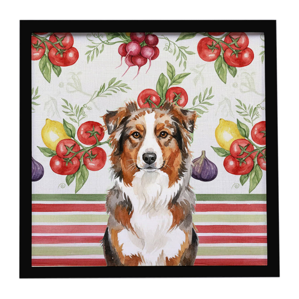 Red Merle Australian Shepherd Vegetables Framed Metal Print Bathroom, Kitchen, Office, Home Decor Wall Art Ready to Hang, Square, 8X8