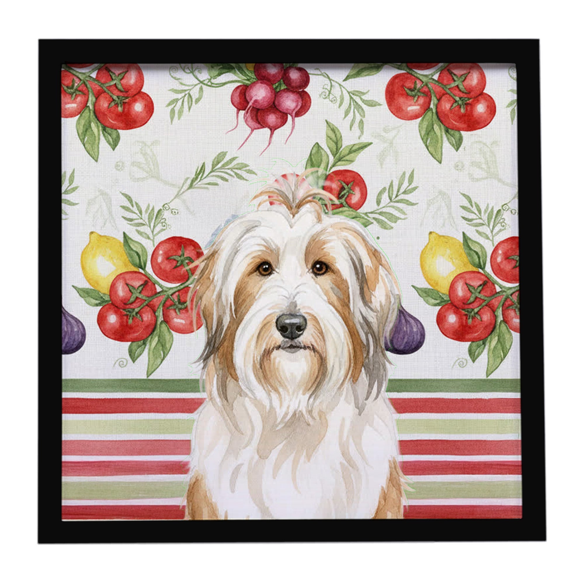 White and Tan Bearded Collie Vegetables Framed Metal Print Bathroom, Kitchen, Office, Home Decor Wall Art Ready to Hang, Square, 8X8