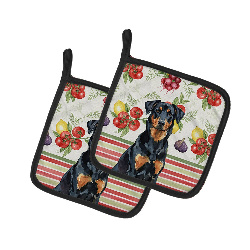 Beauceron Vegetables Pot Holder Set of 2 Heat Resistant Quilted Hot Pads 7.5 x 7.5 Inch, Insulated Kitchen Trivets for Cooking & Baking