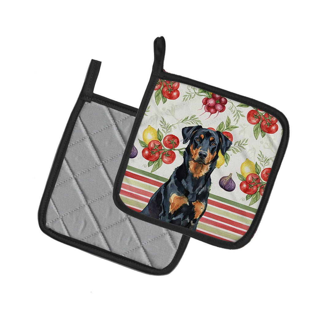 Beauceron Vegetables Pot Holder Set of 2 Heat Resistant Quilted Hot Pads 7.5 x 7.5 Inch, Insulated Kitchen Trivets for Cooking & Baking