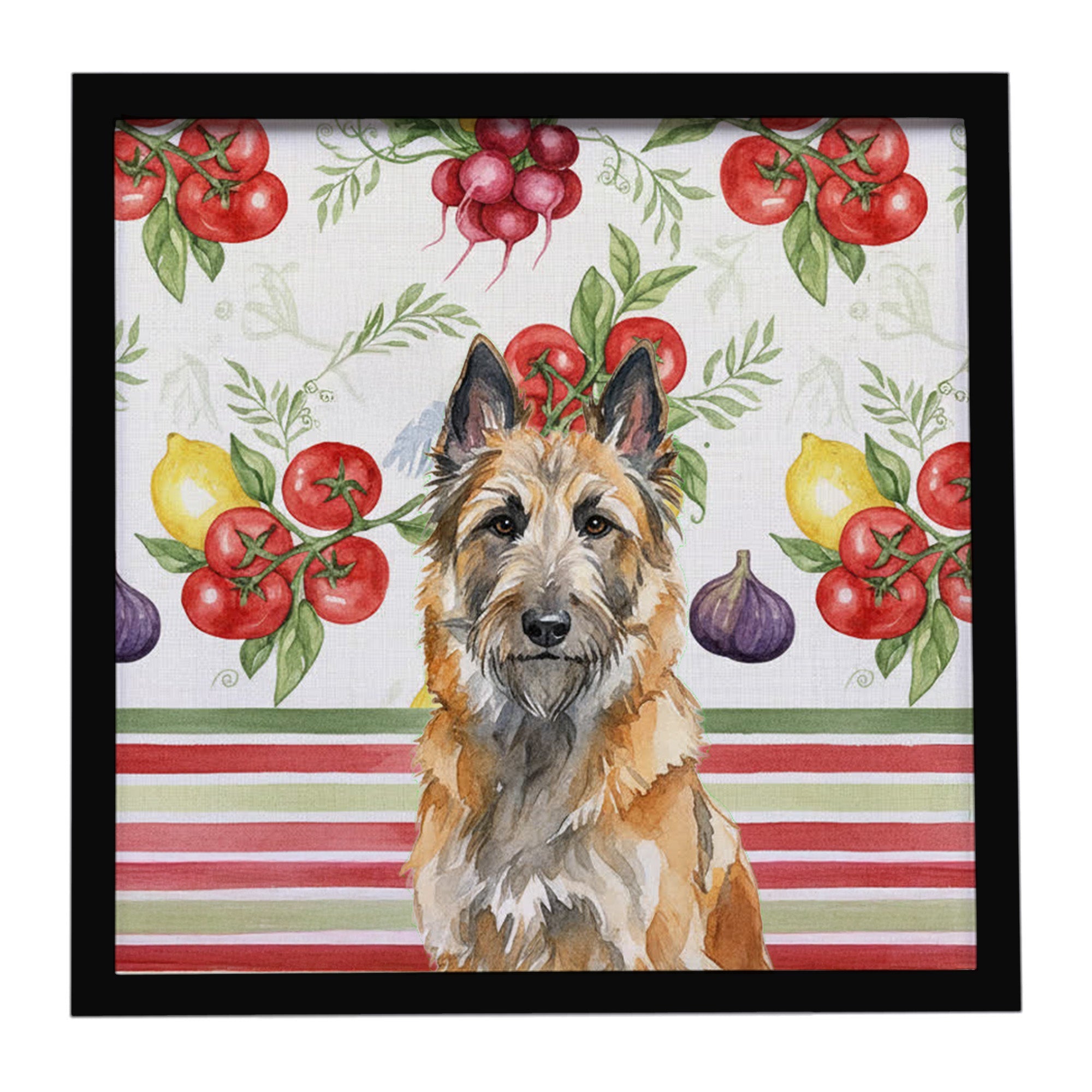Belgian Laekenois Vegetables Framed Metal Print Bathroom, Kitchen, Office, Home Decor Wall Art Ready to Hang, Square, 8X8