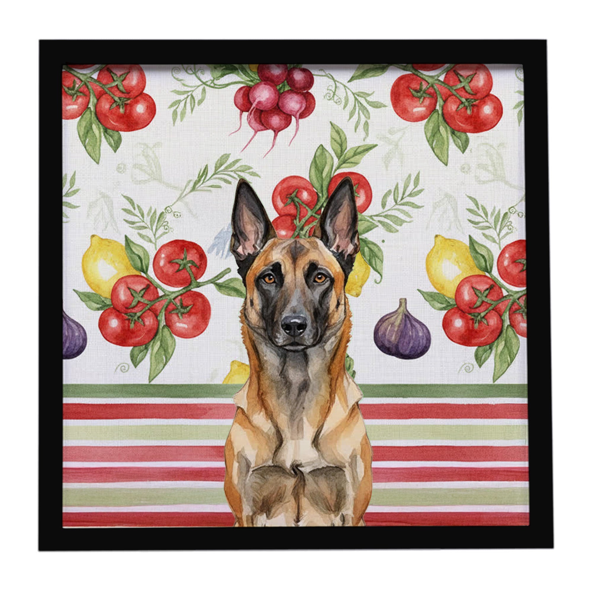 Belgian Malinois Vegetables Framed Metal Print Bathroom, Kitchen, Office, Home Decor Wall Art Ready to Hang, Square, 8X8