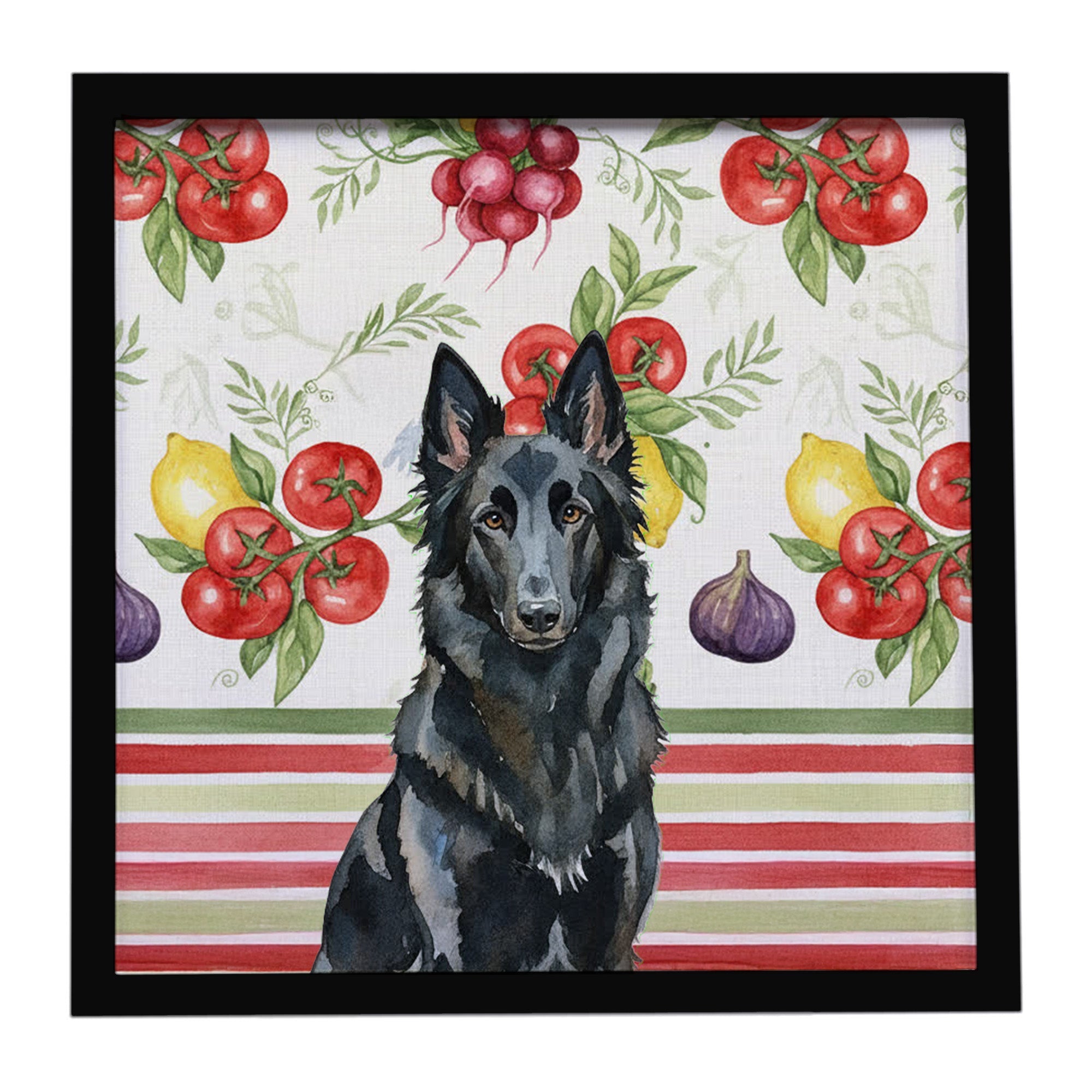 Belgian Sheepdog Groenendael Vegetables Framed Metal Print Bathroom, Kitchen, Office, Home Decor Wall Art Ready to Hang, Square, 8X8