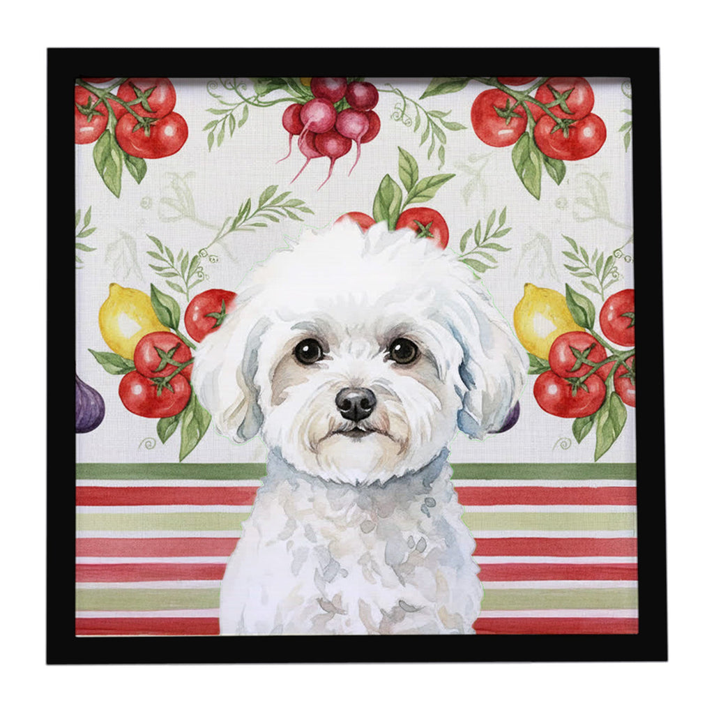 Bichon Frise Vegetables Framed Metal Print Bathroom, Kitchen, Office, Home Decor Wall Art Ready to Hang, Square, 8X8
