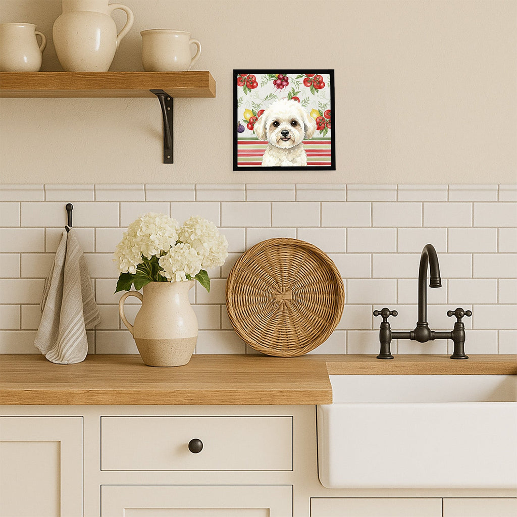 White and Cream Bichon Frise Vegetables Framed Metal Print Bathroom, Kitchen, Office, Home Decor Wall Art Ready to Hang, Square, 8X8