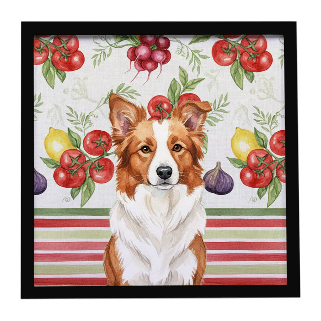 Red and White Border Collie Vegetables Framed Metal Print Bathroom, Kitchen, Office, Home Decor Wall Art Ready to Hang, Square, 8X8
