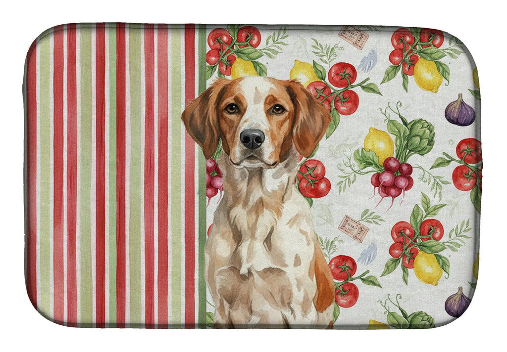 Roan Brittany Vegetables Dish Drying Mat Absorbent Dish Drying Mat Pad for Kitchen Counter Dish Drainer Mat for Countertop, 14 x 21", Multicolor