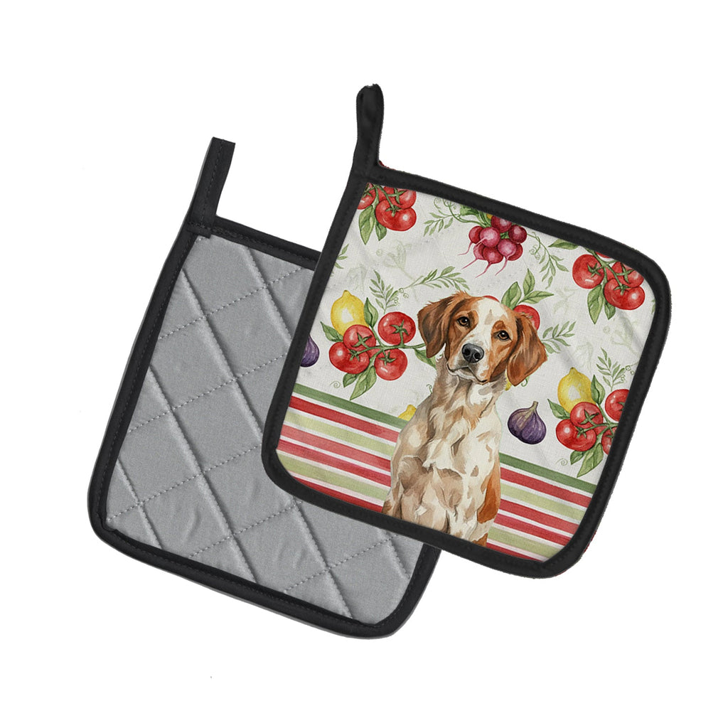 Roan Brittany Vegetables Pot Holder Set of 2 Heat Resistant Quilted Hot Pads 7.5 x 7.5 Inch, Insulated Kitchen Trivets for Cooking & Baking