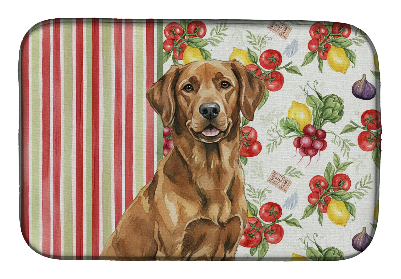 Chesapeake Bay Retriever Vegetables Dish Drying Mat Absorbent Dish Drying Mat Pad for Kitchen Counter Dish Drainer Mat for Countertop, 14 x 21", Multicolor